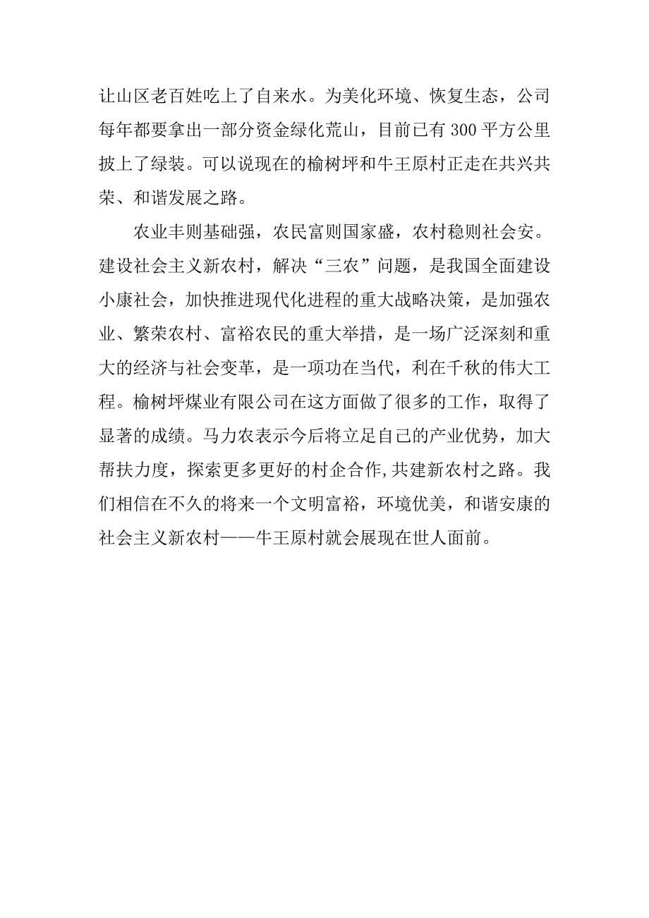 光彩事业参与社会主义新农村建设典型材料.doc_第5页