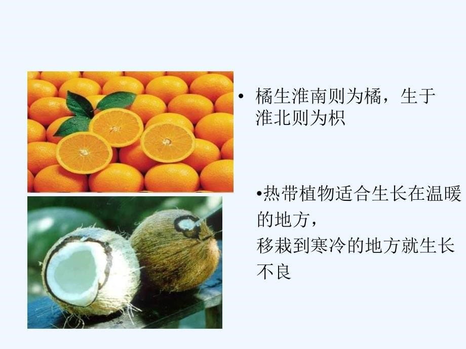 北京版生物八下《环境对生物的影响》ppt课件_第5页