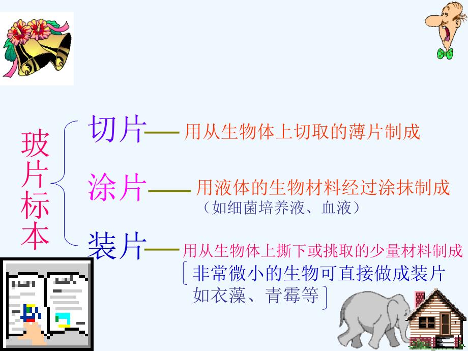 人教版生物七年级上册2.1.2《植物细胞》课件2_第4页