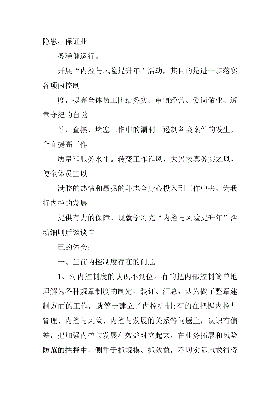 内控制度与风险管理培训心得体会.doc_第2页