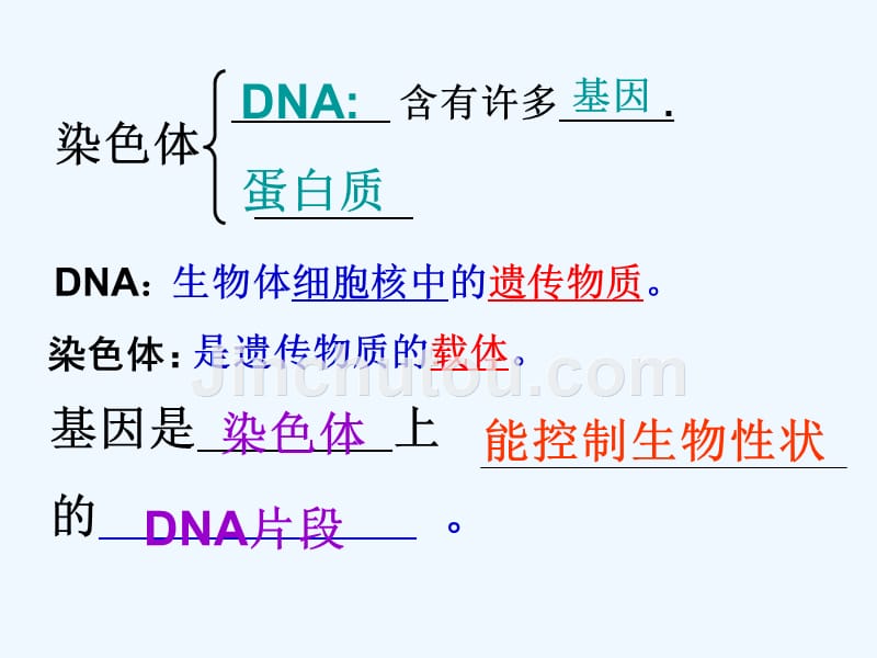 冀教版生物八下《生物的遗传和变异》ppt课件1_第4页