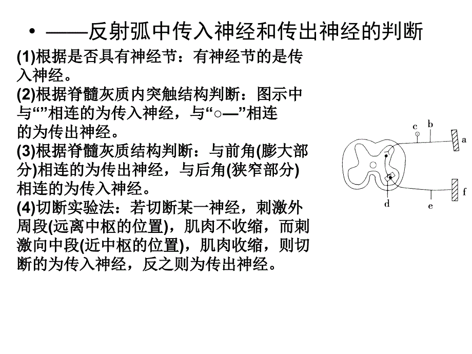 动物生命活动的调节3_第2页