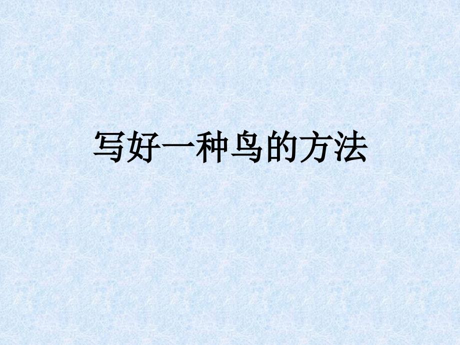 《写好种鸟的方法》ppt课件_第1页