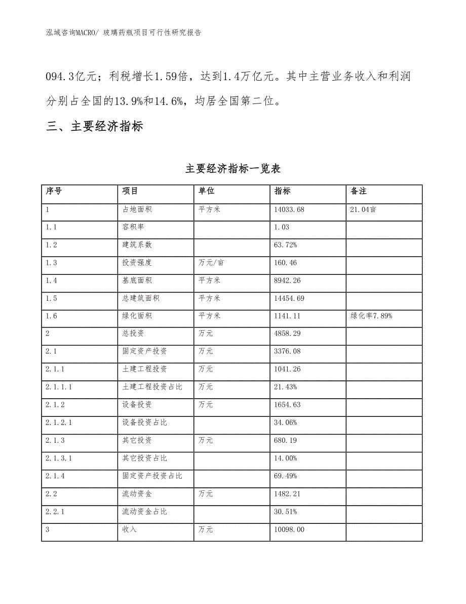 玻璃药瓶项目可行性研究报告_第5页