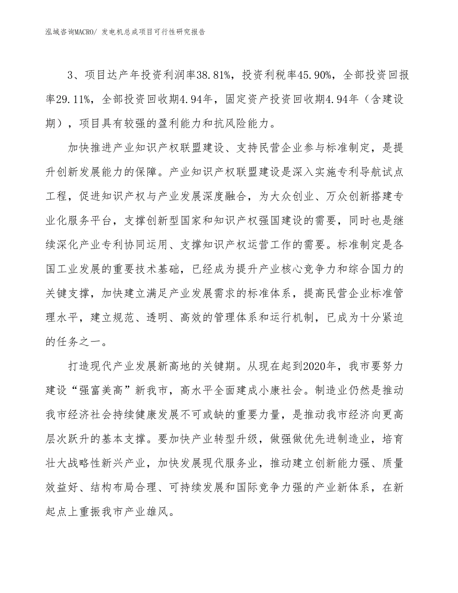 发电机总成项目可行性研究报告_第4页