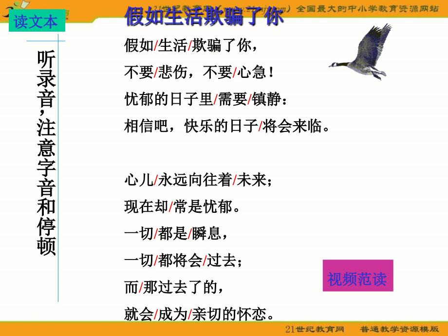 七年级下册《假如生活欺骗了你》优秀课件_第4页