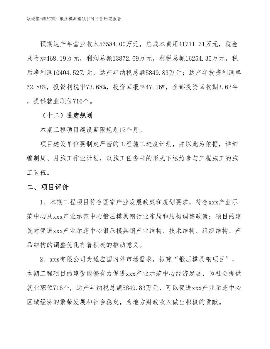 锻压模具钢项目可行性研究报告_第3页