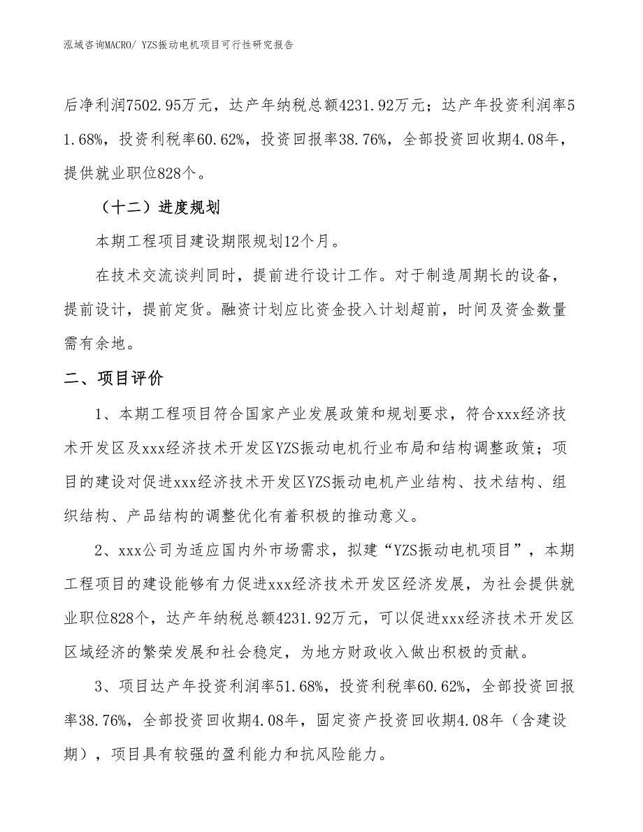 YZS振动电机项目可行性研究报告_第3页