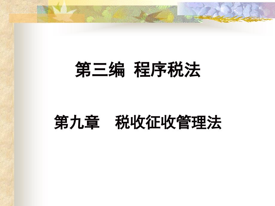 编程序税法第十章税收征收管理法_第1页