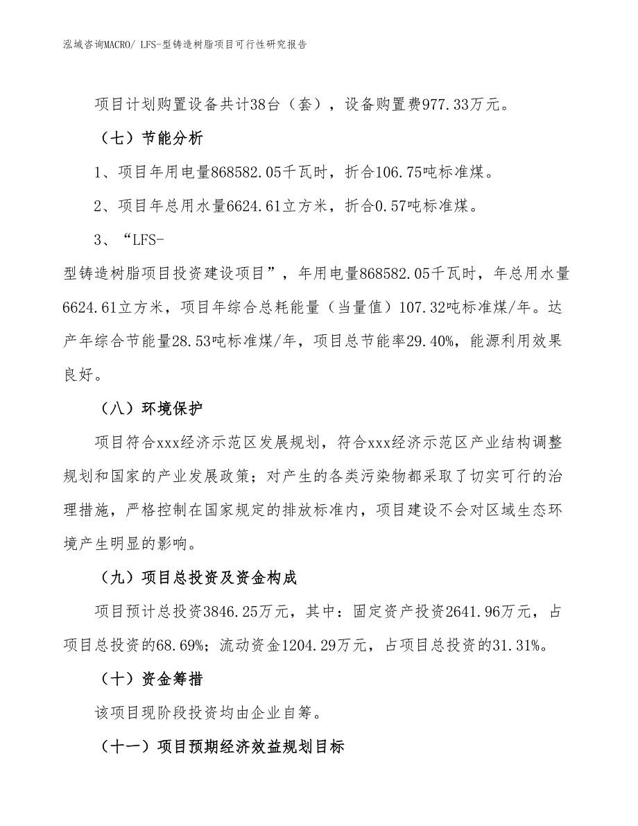 LFS-型铸造树脂项目可行性研究报告_第2页