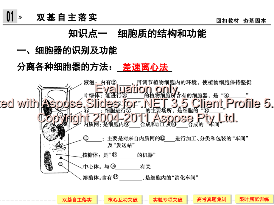 细胞器—系统内的分工与合作1—2—2_第3页