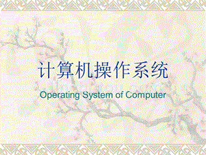 计算机操作系统ch5