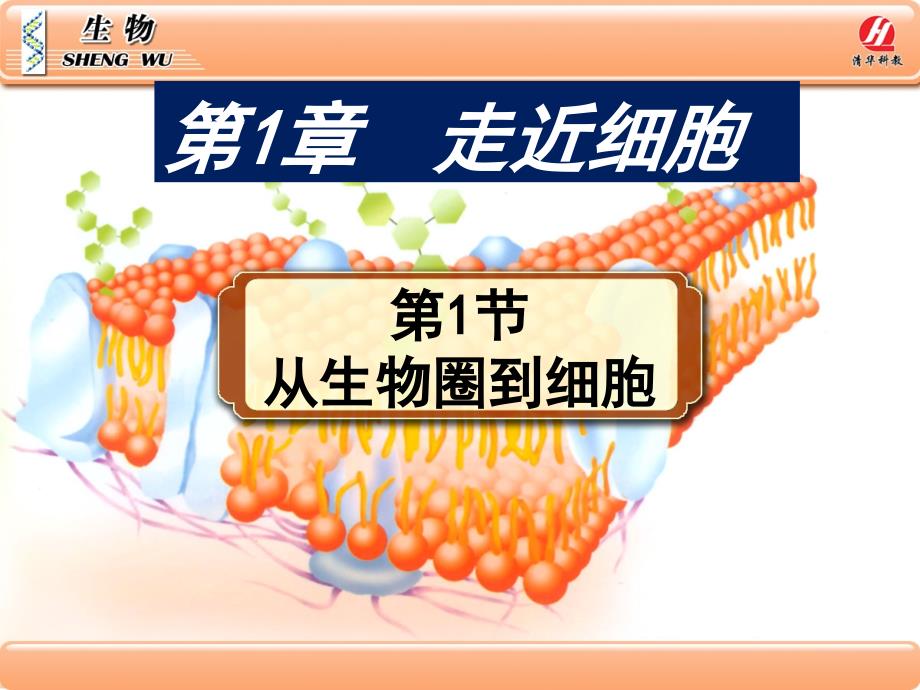 高中生物人教版必修一1.1《从生物圈到细胞》课件(45张)_第1页