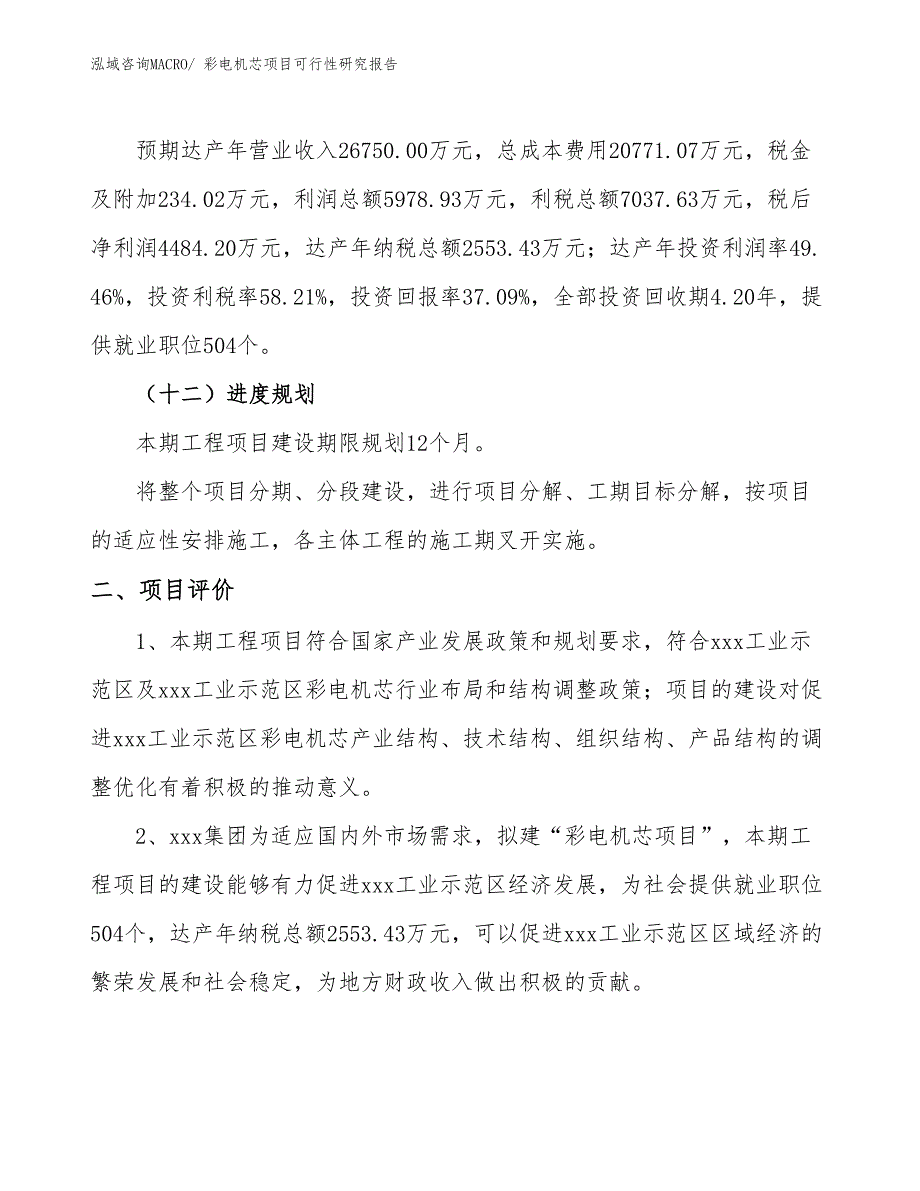 彩电机芯项目可行性研究报告_第3页