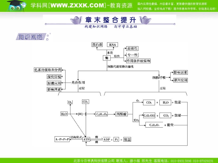 2011年高考生物一轮复习课本知识整合：必修1第5章章末整合提升_第1页