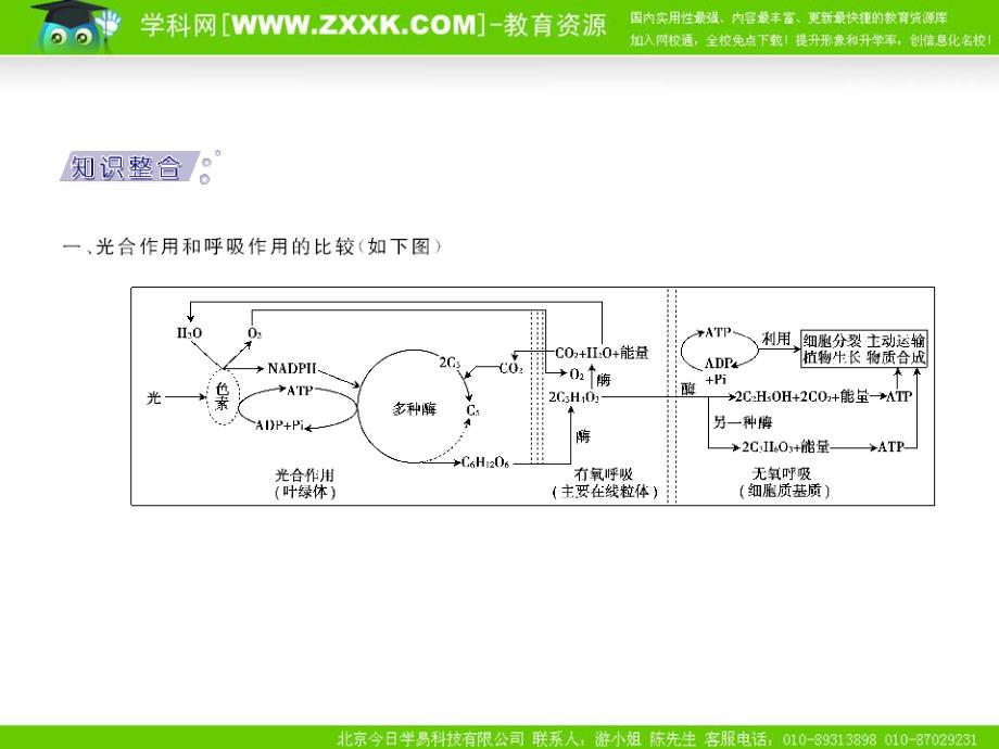 2011年高考生物一轮复习课本知识整合：必修1第5章章末整合提升_第2页