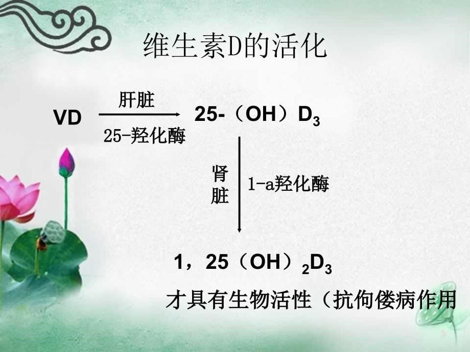 《维生素营养障碍》ppt课件_第5页