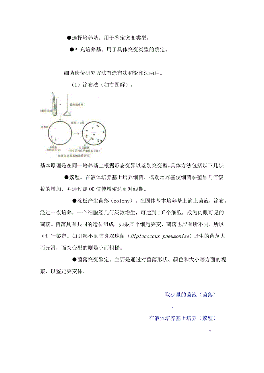 细菌和病毒的遗传(1)_第2页