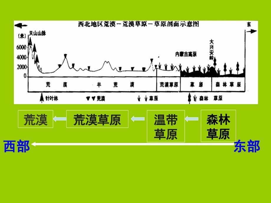 《楼兰古城资料》ppt课件_第5页