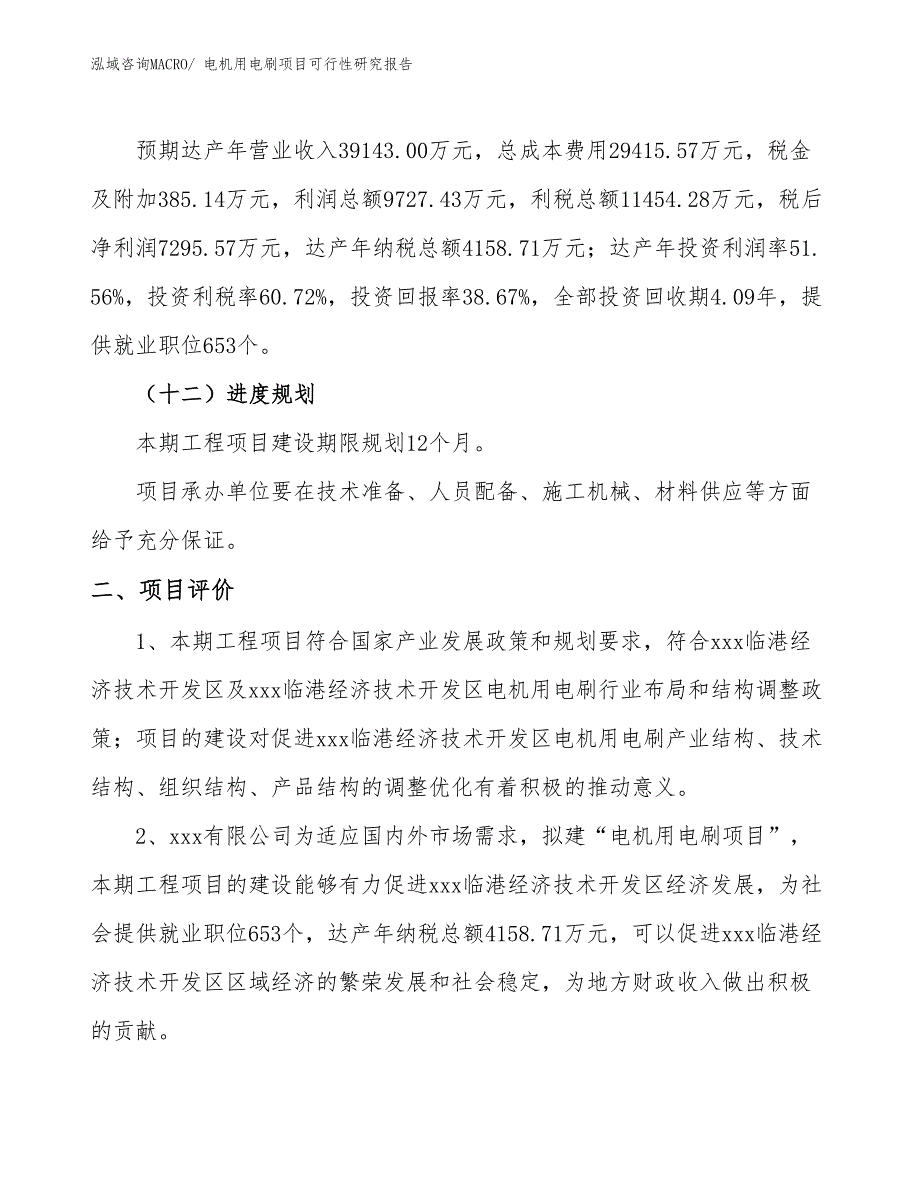 电机用电刷项目可行性研究报告_第3页