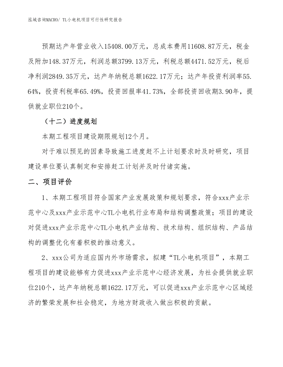 TL小电机项目可行性研究报告_第3页