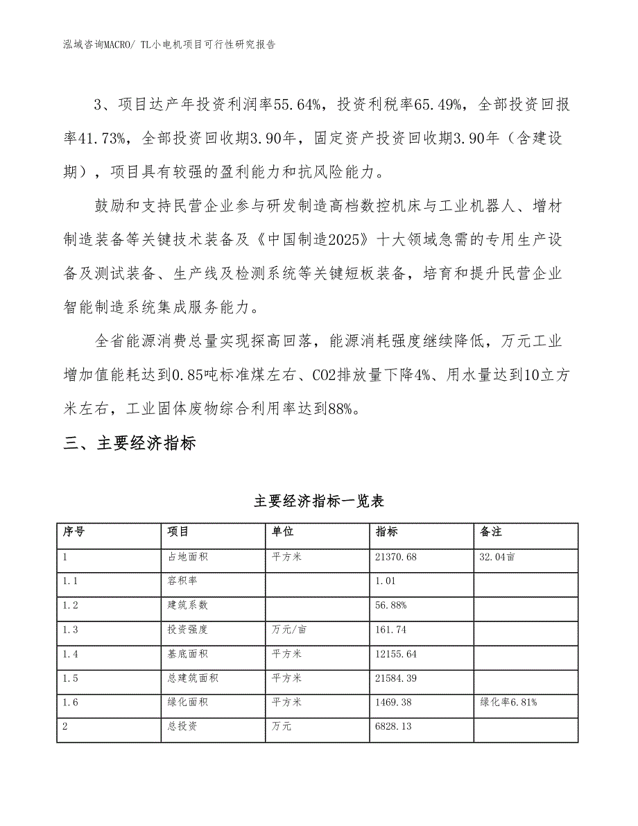 TL小电机项目可行性研究报告_第4页