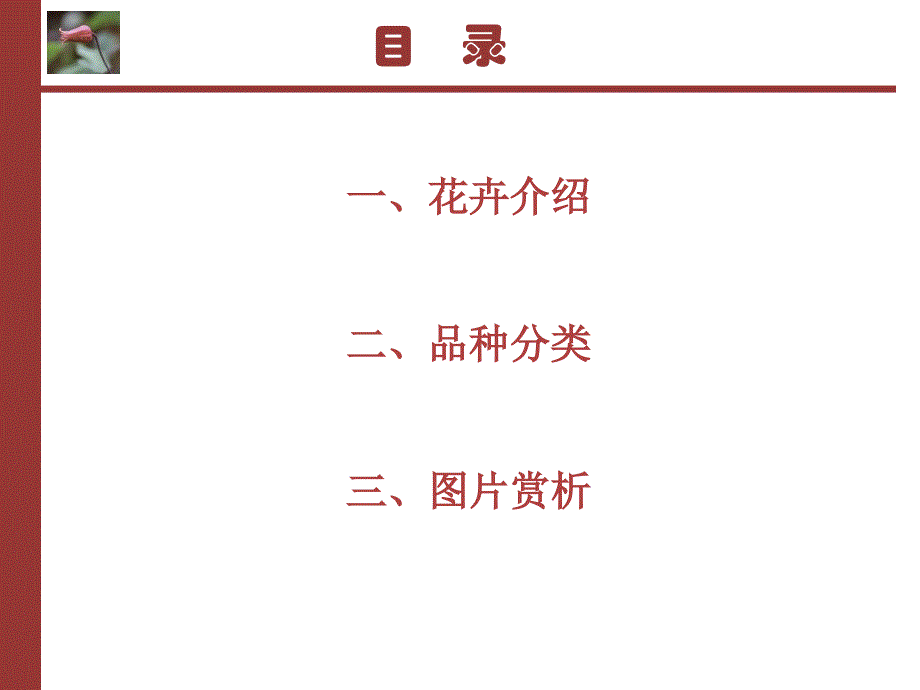 《花卉品种分类学》ppt课件_第2页