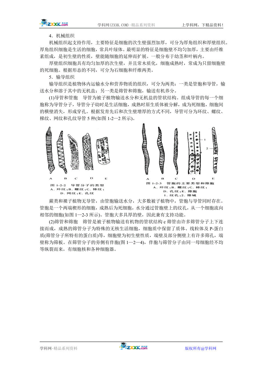 《植物解剖和生理》word版_第4页