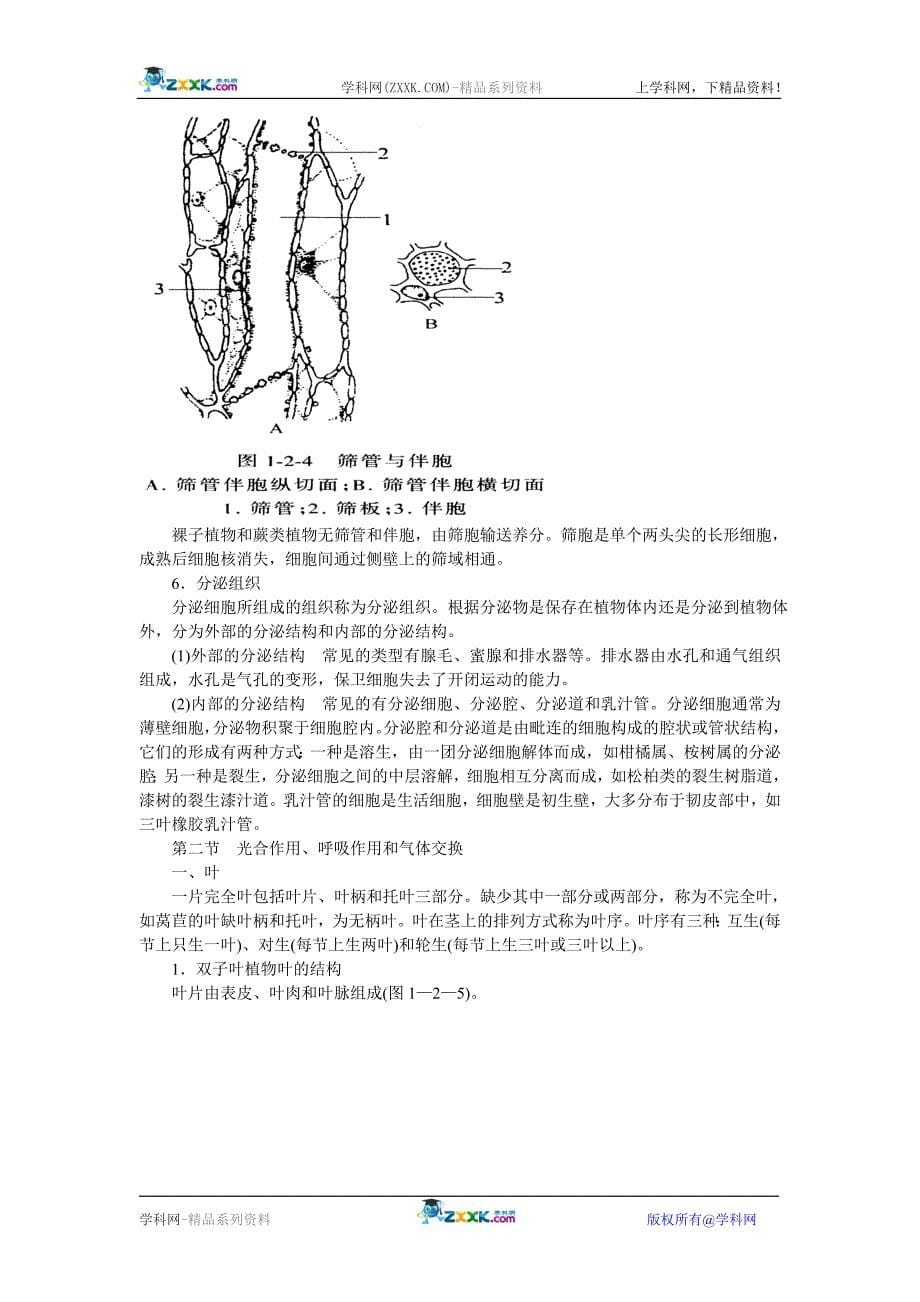 《植物解剖和生理》word版_第5页