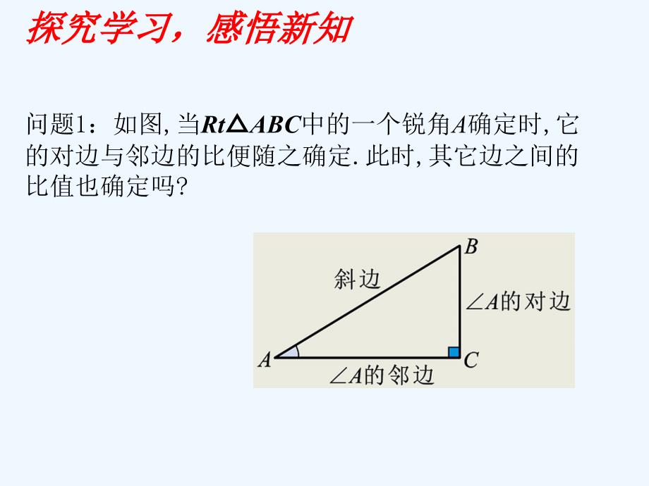 北师大版数学九年级下册1.1.2《锐角三角函数》课件_第3页