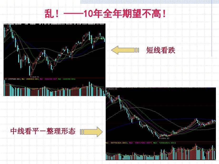 2010年投资策略分析报告_第5页