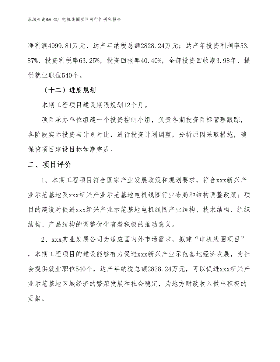 电机线圈项目可行性研究报告_第3页