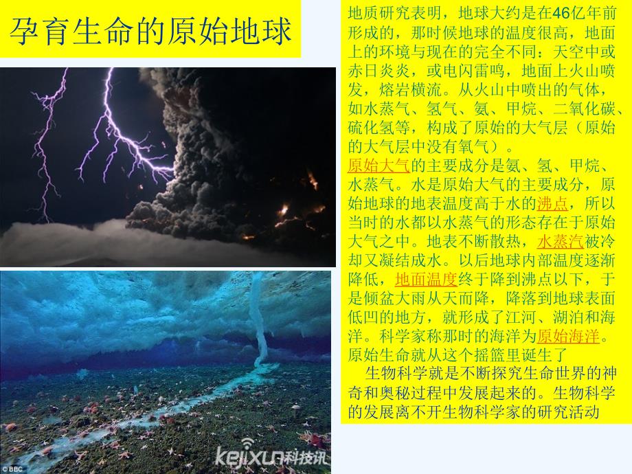 北师大版生物七年级上册1.2.1《生物学是探索生命的科学》课件2_第4页