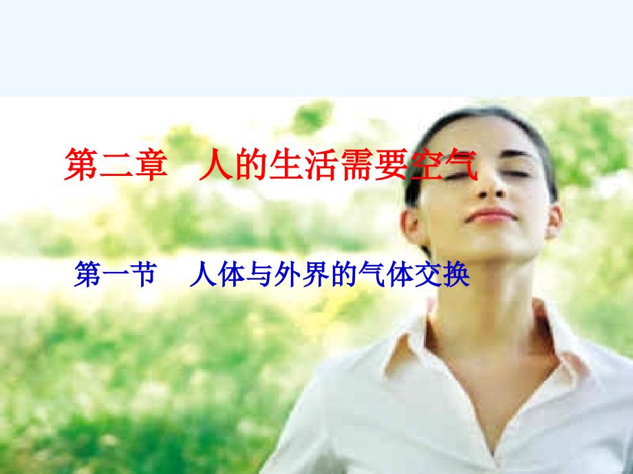 济南版生物七下《人体与外界的气体交换》ppt课件4_第1页