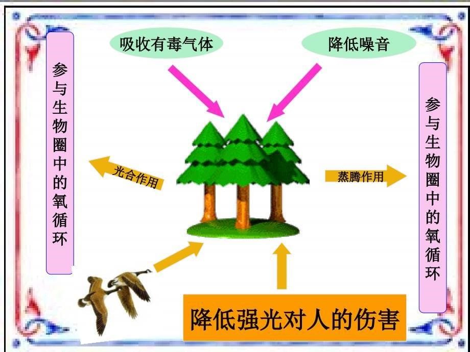 苏教版生物七年级上册3.7.3《绿化，我们共同的行动》课件3_第5页