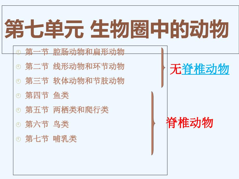 鲁科版生物八年级上册7.1.1《腔肠动物和扁形动物》课件4_第2页