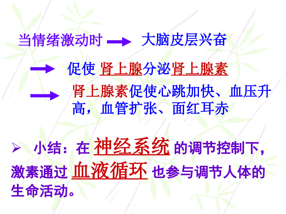 鲁科版生物七年级下册4.7.1《分析人类活动对生态环境的影响》课件2_第2页