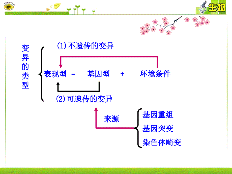 课时基因重组、基因突变_第4页