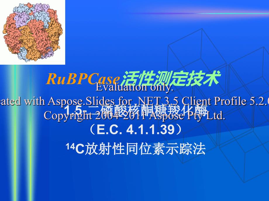 研究生实验-rubpcase活性测定技术_第1页