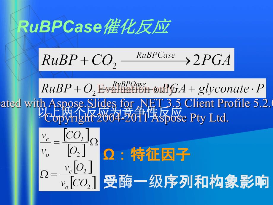 研究生实验-rubpcase活性测定技术_第4页