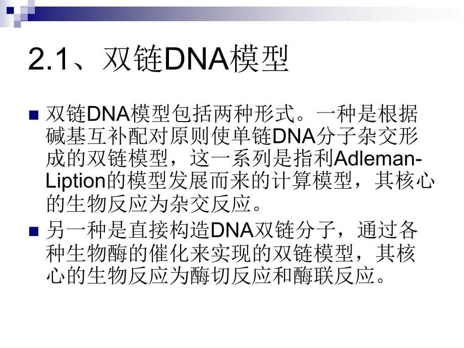 《dna计算模型》ppt课件_第5页