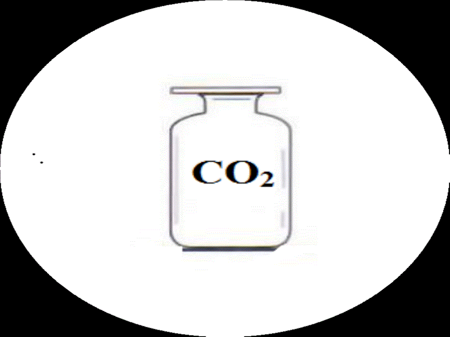 鲁教版（五四）化学八年级《二氧化碳的实验室制取与性质》ppt课件1_第3页