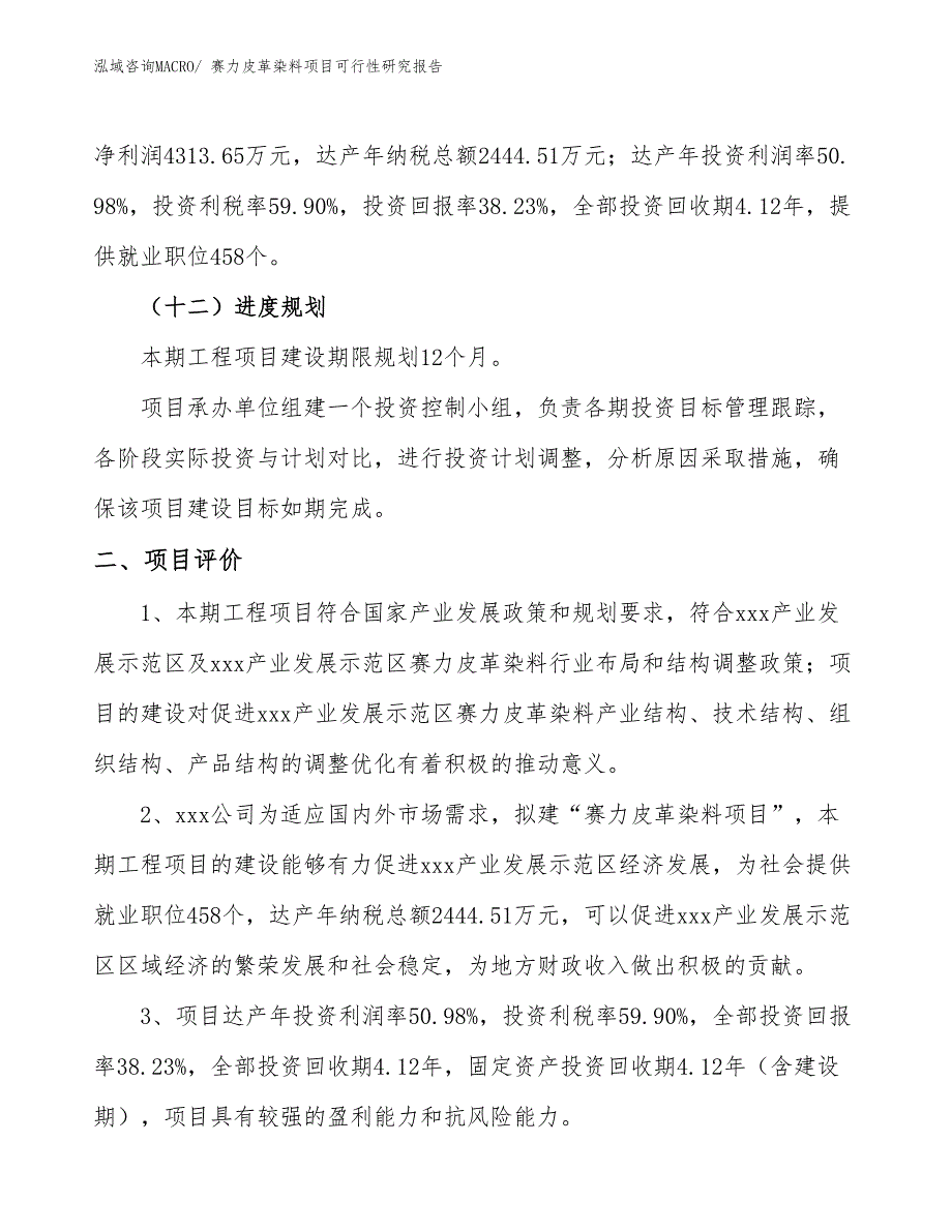 赛力皮革染料项目可行性研究报告_第3页