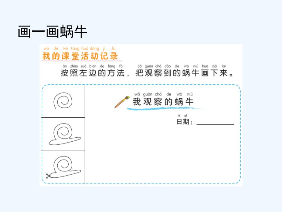 教科版科学一年级下册2.3《观察一种动物》ppt课件_第4页