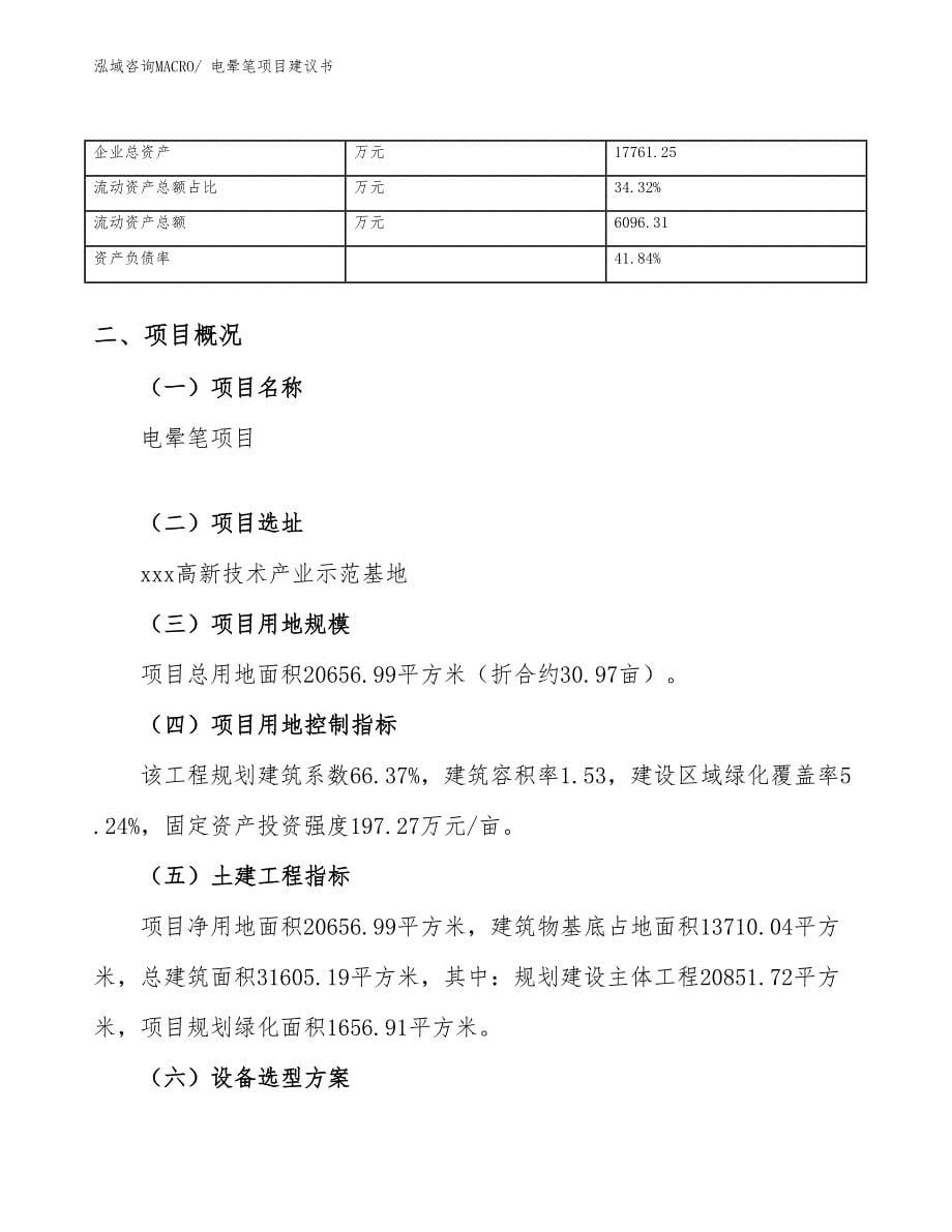 电晕笔项目建议书(31亩，投资9100万元）_第5页