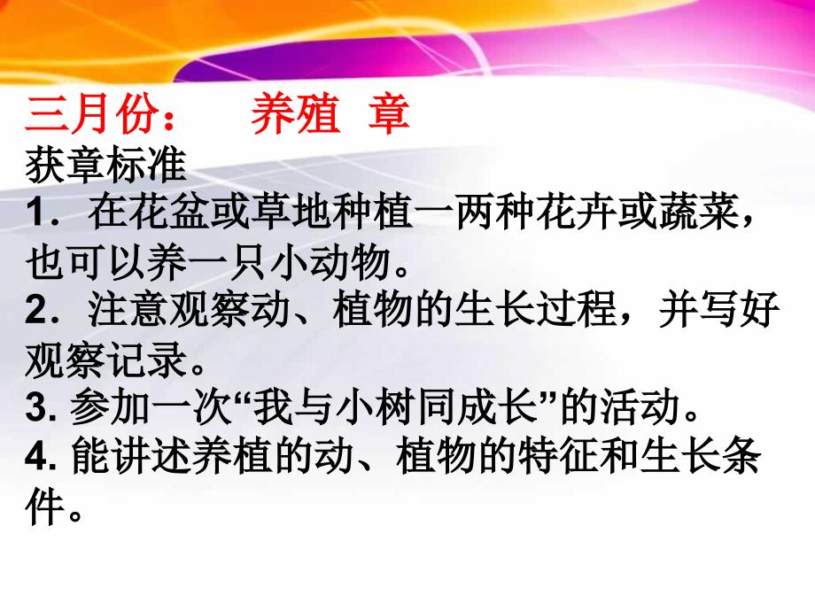 安全教育,定雏鹰争章计划_第4页