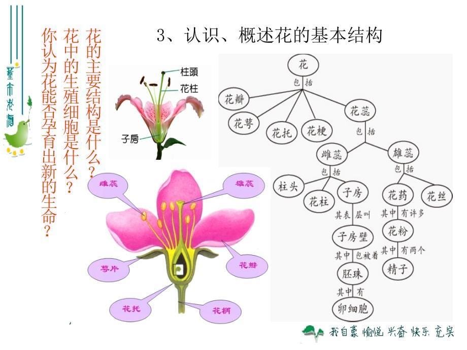 鲁科版生物六年级下册3.2.3《开花和结果》ppt课件1_第5页