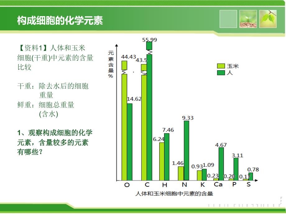 《细胞的化学组成》ppt课件_第2页