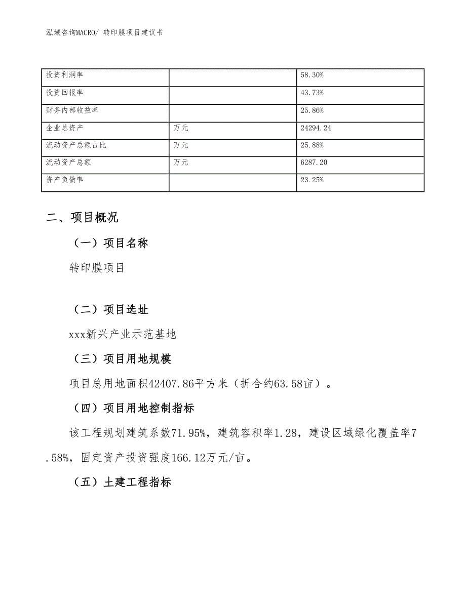 转印膜项目建议书(64亩，投资14500万元）_第5页