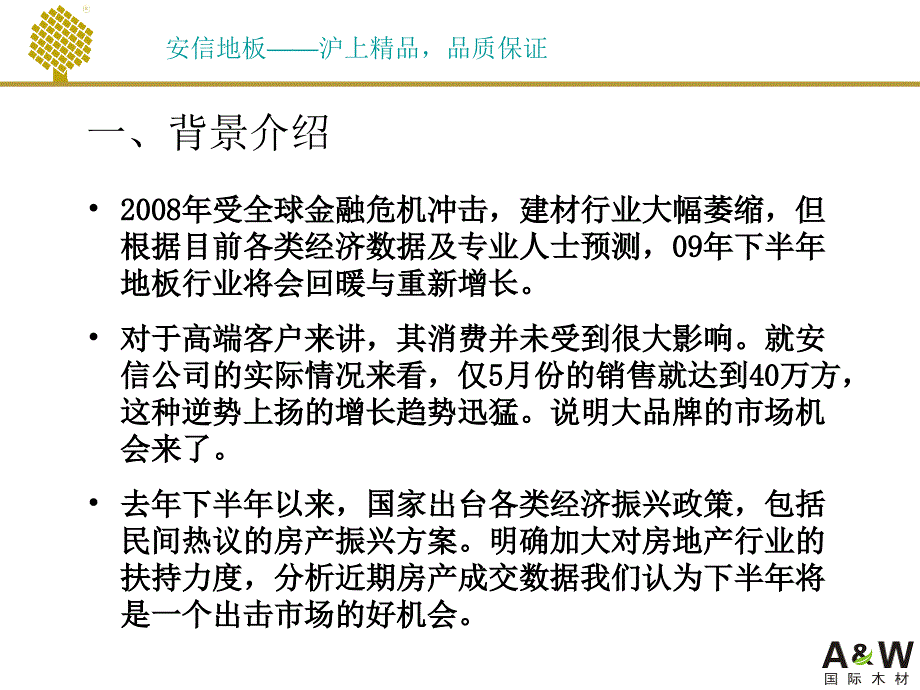 大型活动执行模版_第3页